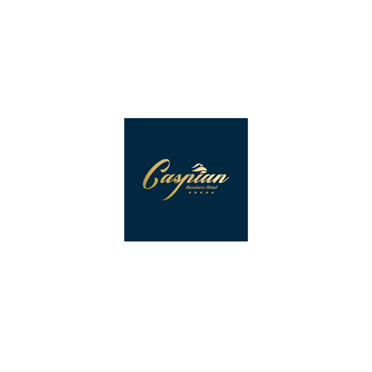 Caspian Business Hotel-Fitness zal