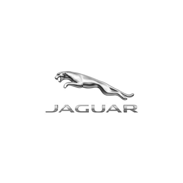 Jaguar - bağ video